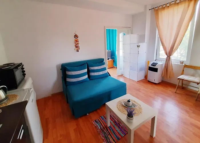 Cozy Summer - Sun Schitu